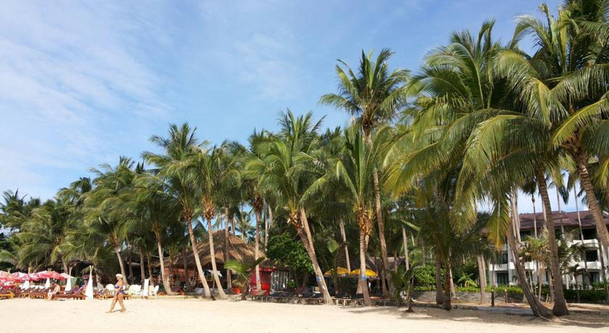 Coconut Beach Resort Lamai Beach  Eksteriør billede