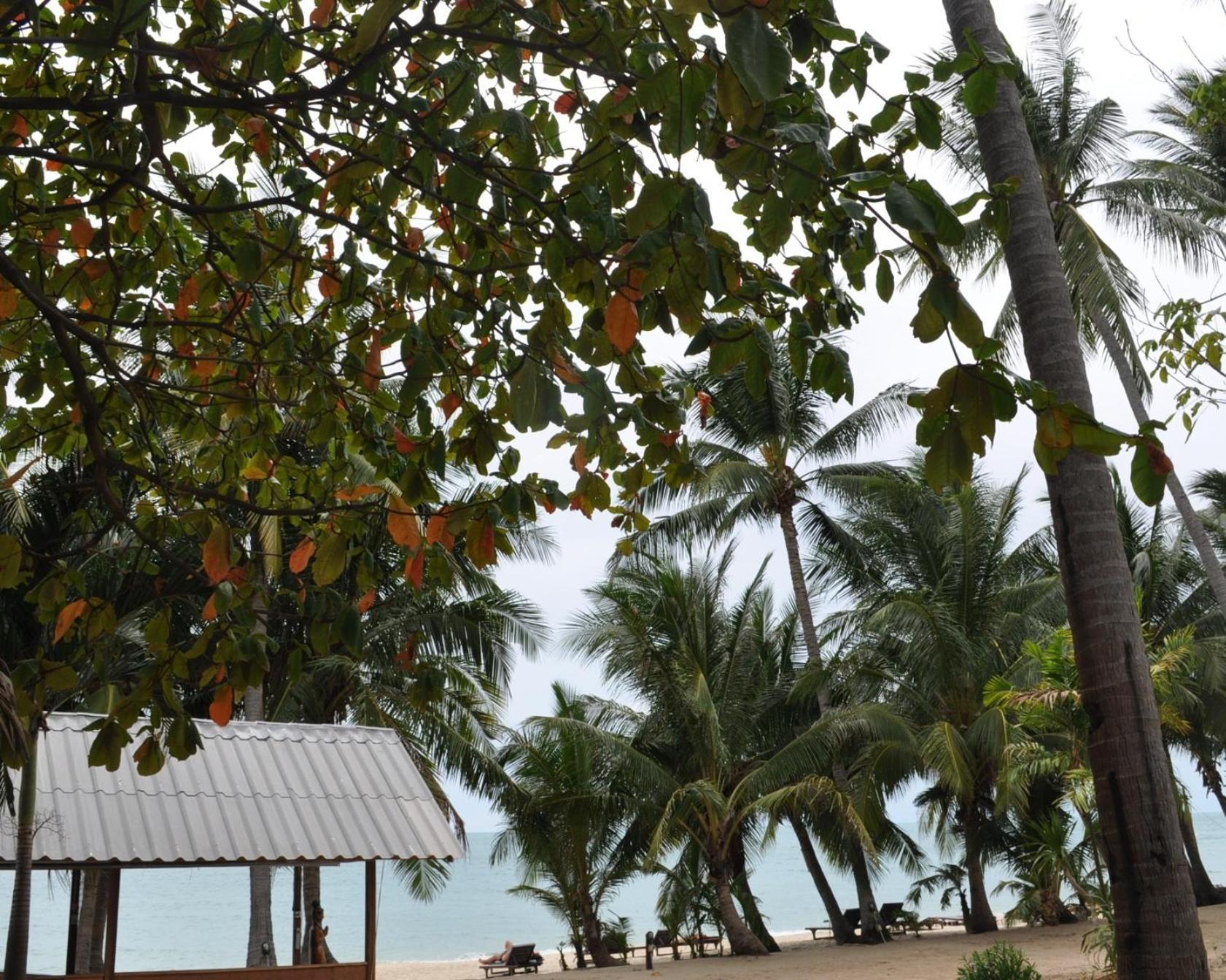 Astrococo Beach Resort By Coconut Beach Lamai Beach  Eksteriør billede